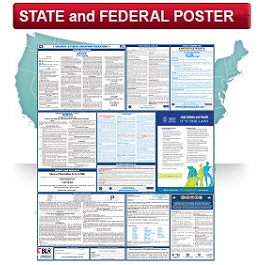 State And Federal All In One Labor Law Poster
