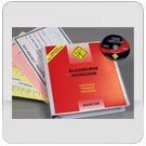 Bloodborne Pathogens in Commercial & Light Industrial Facilities DVD Program - in English or Spanish
